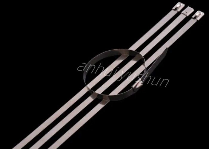 150mm Gesptype Band van de Staal de Roestvrije Kabel voor Draadregeling
