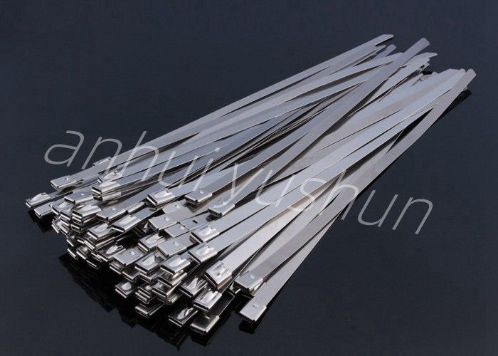100mm SS316 Type van de Bandgesp van de Bundel het Roestvrije Kabel