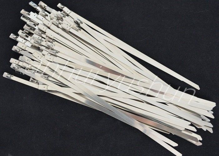 100mm SS316 Type van de Bandgesp van de Bundel het Roestvrije Kabel